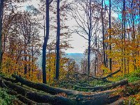 Beskid Niski